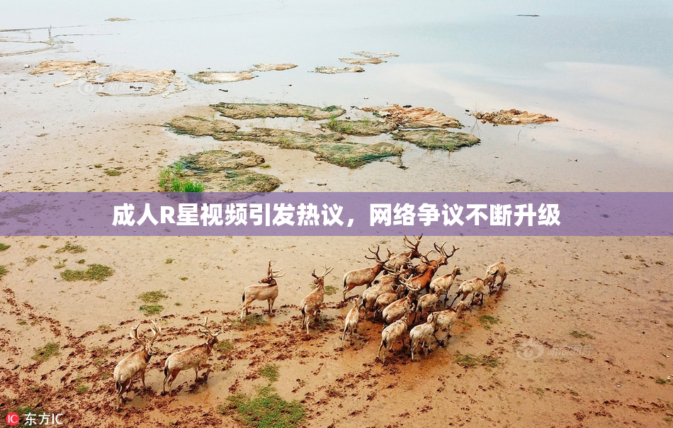 成人R星视频引发热议，网络争议不断升级