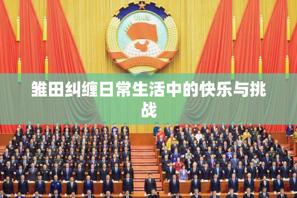 雏田纠缠日常生活中的快乐与挑战