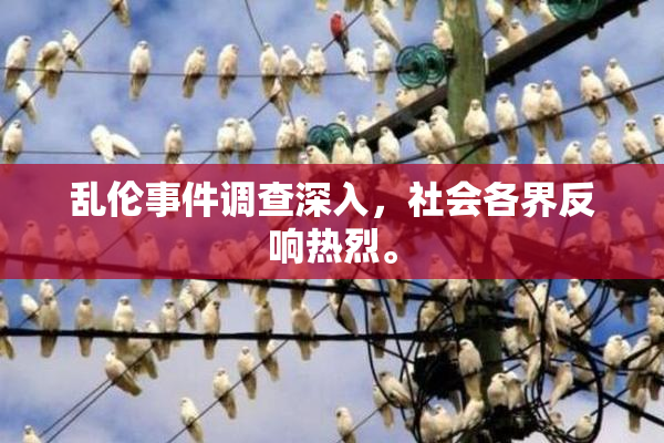乱伦事件调查深入，社会各界反响热烈。