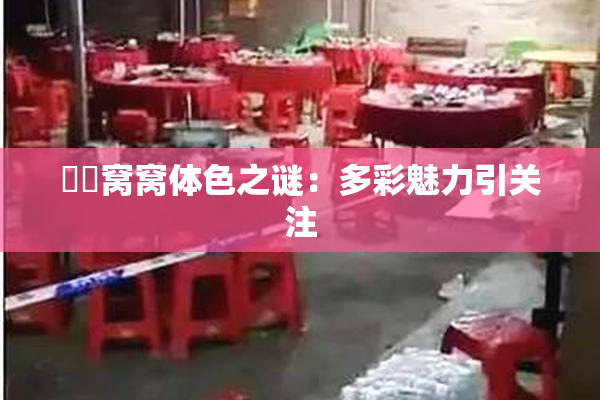 妺妺窝窝体色之谜：多彩魅力引关注