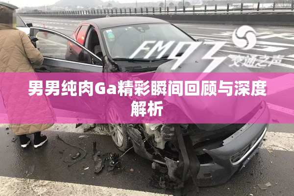 男男纯肉Ga精彩瞬间回顾与深度解析