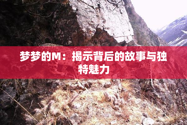 梦梦的M：揭示背后的故事与独特魅力