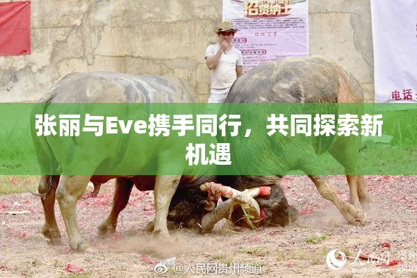张丽与Eve携手同行，共同探索新机遇