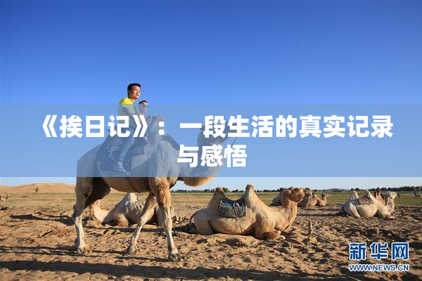《挨日记》：一段生活的真实记录与感悟