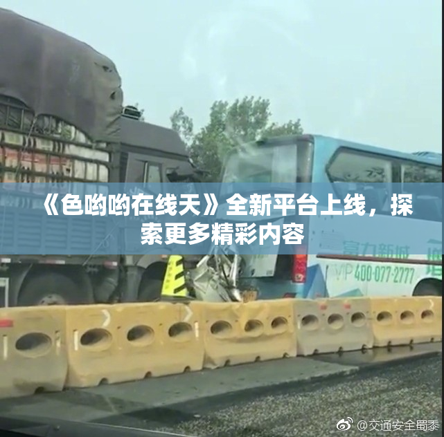 《色哟哟在线天》全新平台上线，探索更多精彩内容