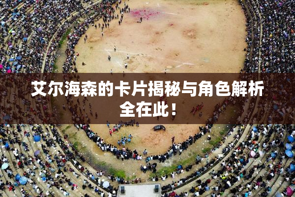 艾尔海森的卡片揭秘与角色解析全在此！