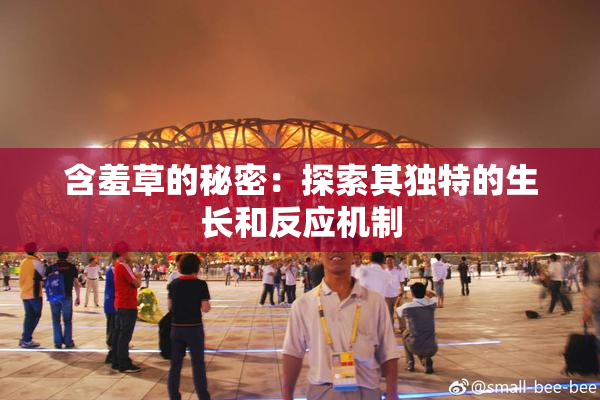 含羞草的秘密：探索其独特的生长和反应机制