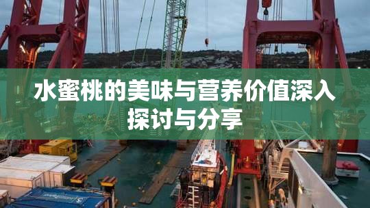 水蜜桃的美味与营养价值深入探讨与分享