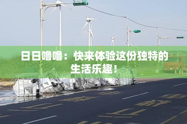 日日噜噜：快来体验这份独特的生活乐趣！