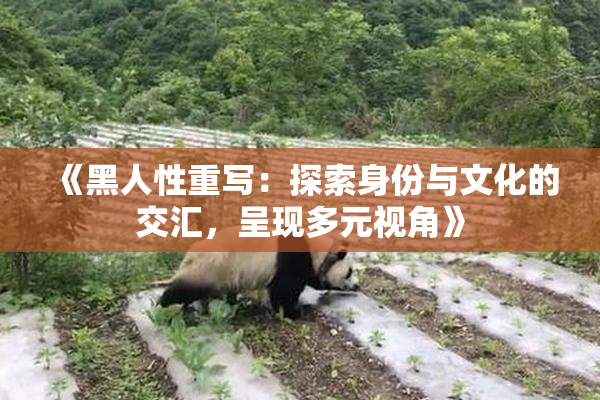 《黑人性重写：探索身份与文化的交汇，呈现多元视角》