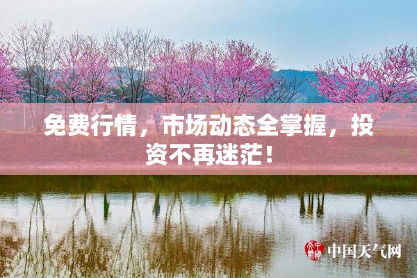 免费行情，市场动态全掌握，投资不再迷茫！