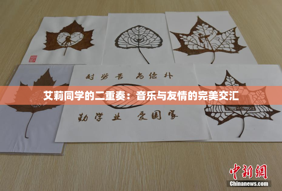 艾莉同学的二重奏：音乐与友情的完美交汇
