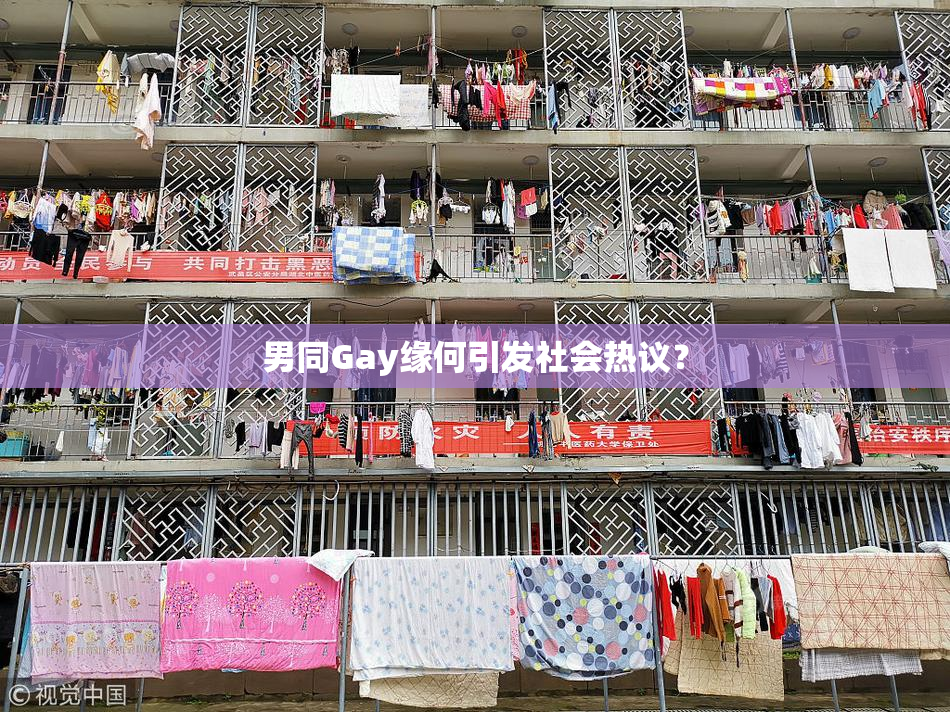 男同Gay缘何引发社会热议？
