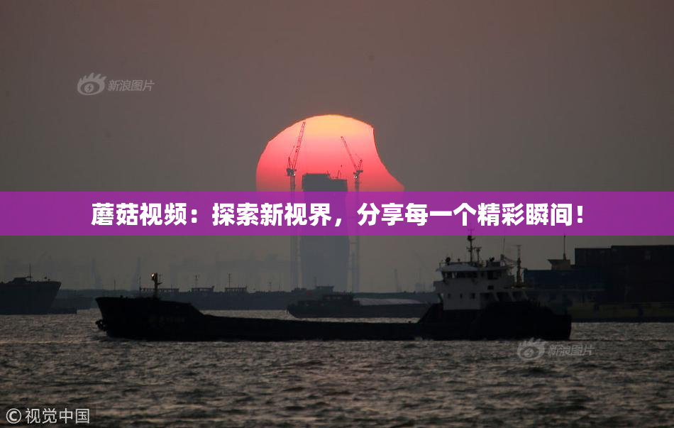 蘑菇视频：探索新视界，分享每一个精彩瞬间！