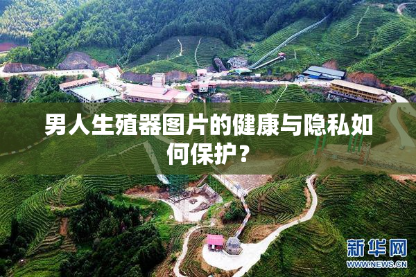 男人生殖器图片的健康与隐私如何保护？