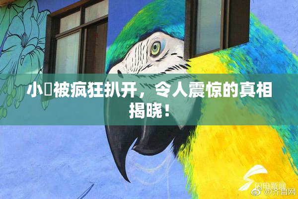 小泬被疯狂扒开，令人震惊的真相揭晓！