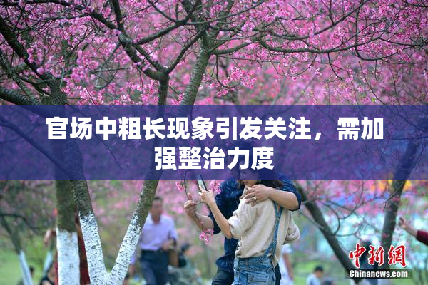 官场中粗长现象引发关注，需加强整治力度