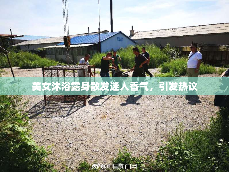 美女沐浴露身散发迷人香气，引发热议