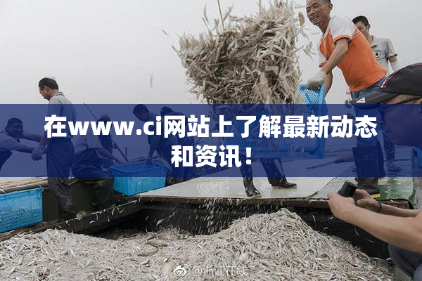 在www.ci网站上了解最新动态和资讯！