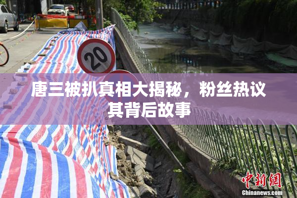 唐三被扒真相大揭秘，粉丝热议其背后故事
