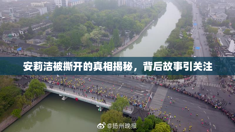 安莉洁被撕开的真相揭秘，背后故事引关注