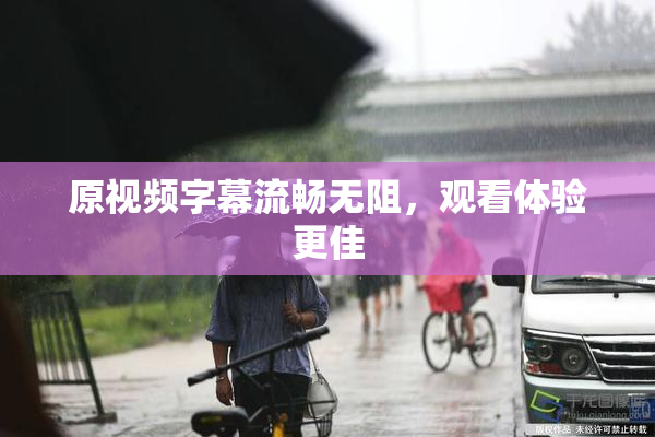 原视频字幕流畅无阻，观看体验更佳