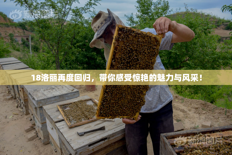 18洛丽再度回归，带你感受惊艳的魅力与风采！