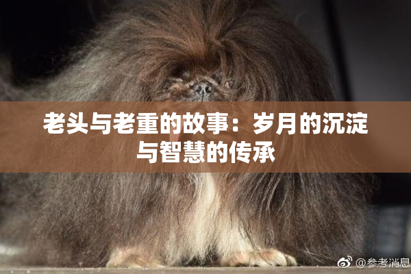 老头与老重的故事：岁月的沉淀与智慧的传承