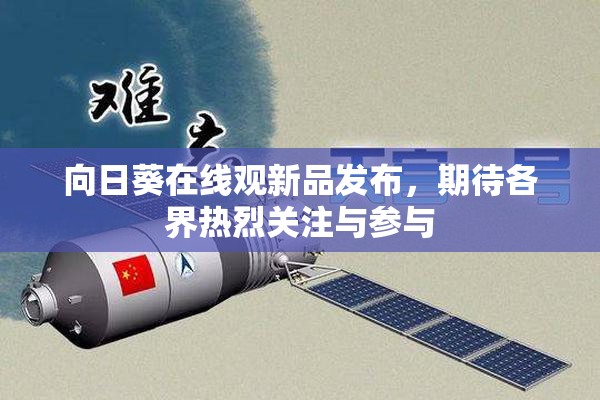 向日葵在线观新品发布，期待各界热烈关注与参与