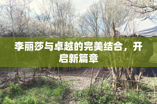 李丽莎与卓越的完美结合，开启新篇章