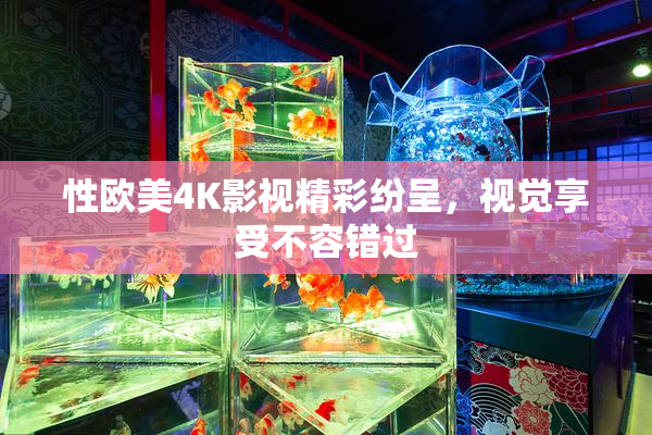 性欧美4K影视精彩纷呈，视觉享受不容错过