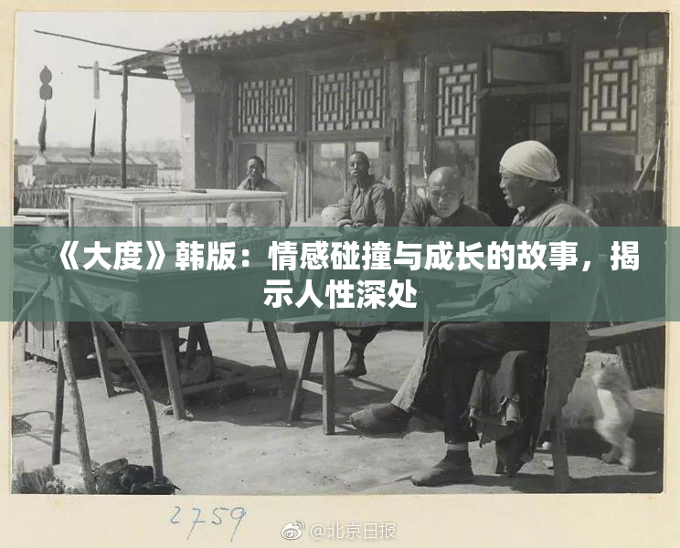 《大度》韩版：情感碰撞与成长的故事，揭示人性深处