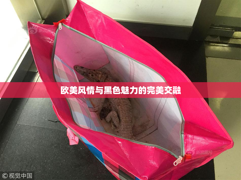 欧美风情与黑色魅力的完美交融