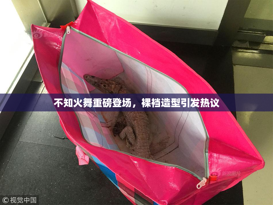 不知火舞重磅登场，裸裆造型引发热议