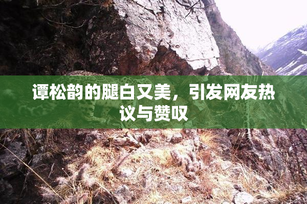 谭松韵的腿白又美，引发网友热议与赞叹