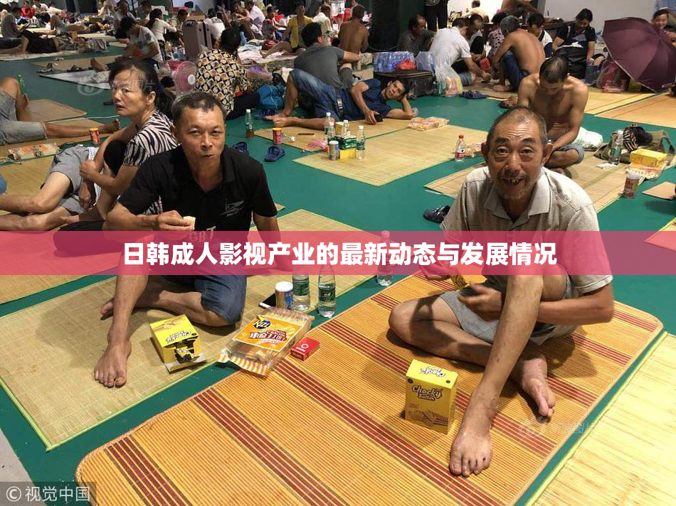 日韩成人影视产业的最新动态与发展情况