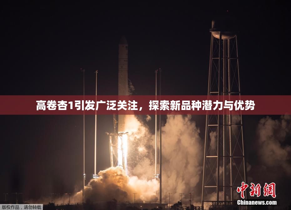 高卷杏1引发广泛关注，探索新品种潜力与优势