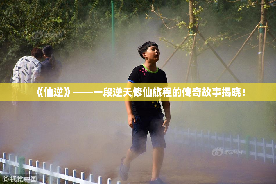 《仙逆》——一段逆天修仙旅程的传奇故事揭晓！
