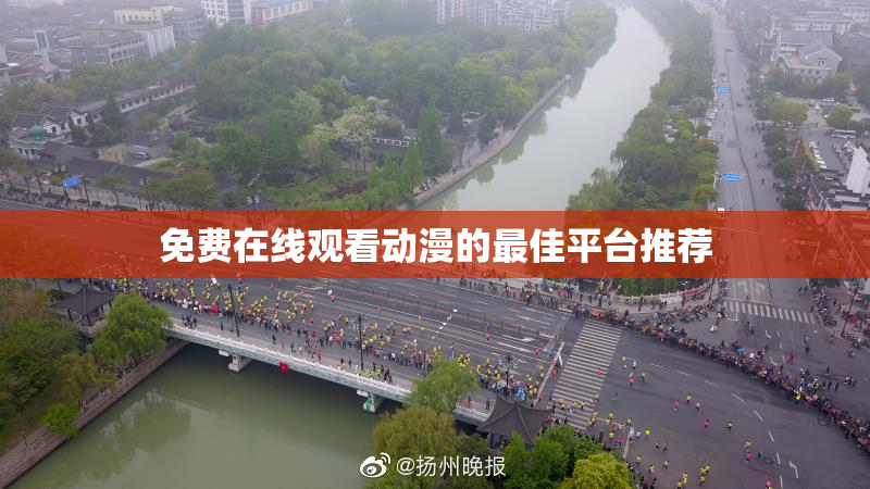 免费在线观看动漫的最佳平台推荐