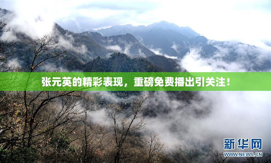 张元英的精彩表现，重磅免费播出引关注！