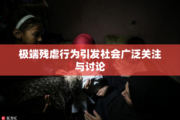 极端残虐行为引发社会广泛关注与讨论