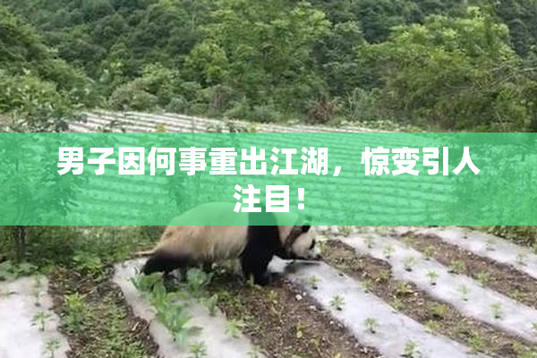 男子因何事重出江湖，惊变引人注目！