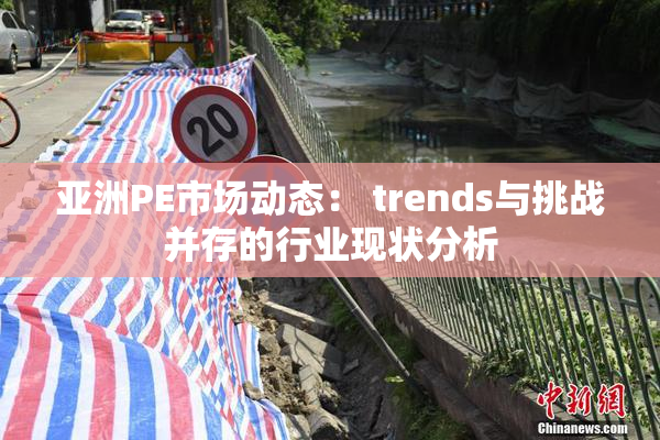 亚洲PE市场动态： trends与挑战并存的行业现状分析