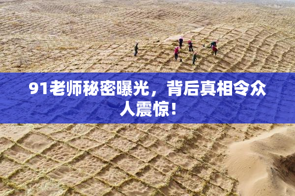 91老师秘密曝光，背后真相令众人震惊！