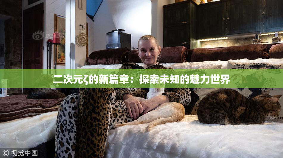 二次元ζ的新篇章：探索未知的魅力世界