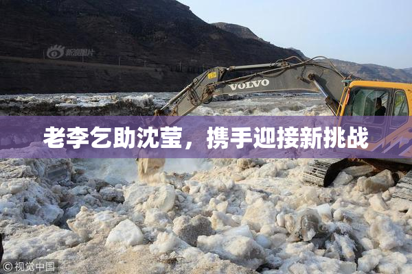 老李乞助沈莹，携手迎接新挑战