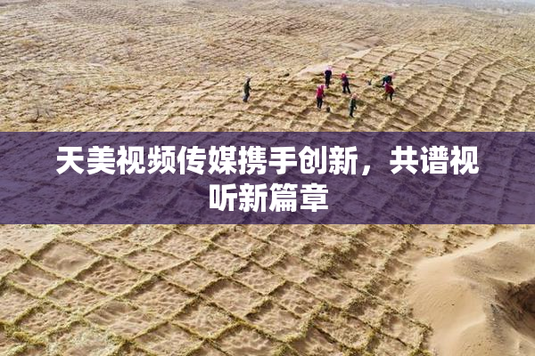 天美视频传媒携手创新，共谱视听新篇章