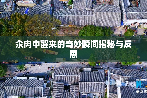 汆肉中醒来的奇妙瞬间揭秘与反思