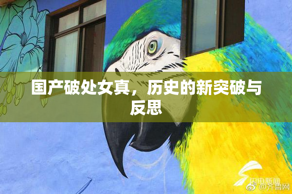 国产破处女真，历史的新突破与反思