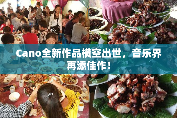 Cano全新作品横空出世，音乐界再添佳作！